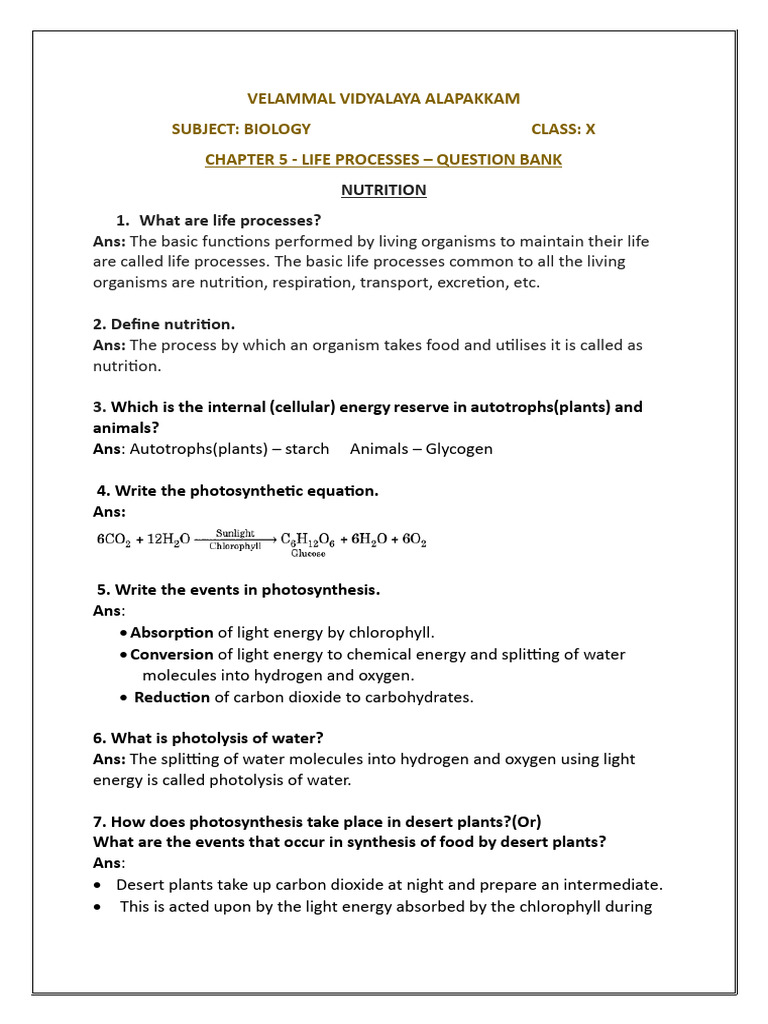 Life Processes - Class 10 Biology QB | PDF | Heart Valve | Circulatory ...