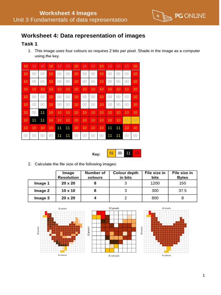 Data Representation Worksheet 4 Images | PDF | Image Resolution | Vision