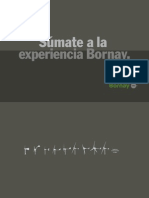 Catalogo Bornay