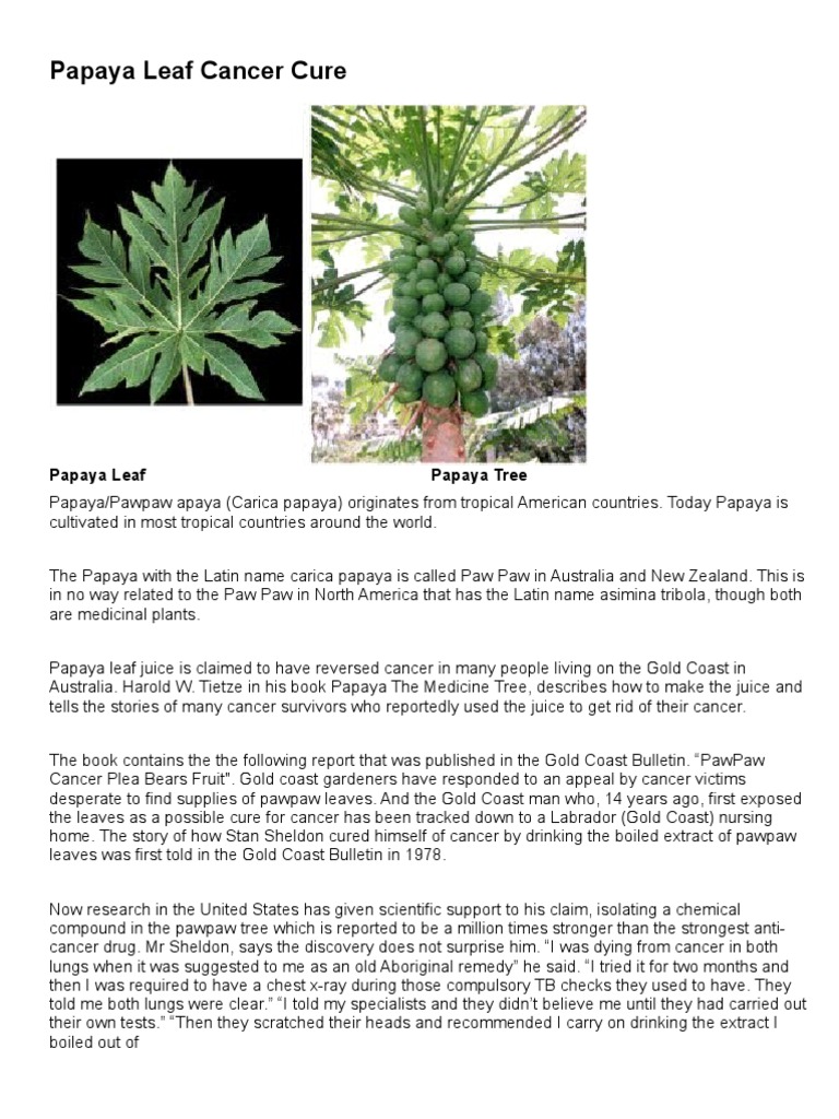 Papaya Leaf Cure PDF Chemotherapy Cancer