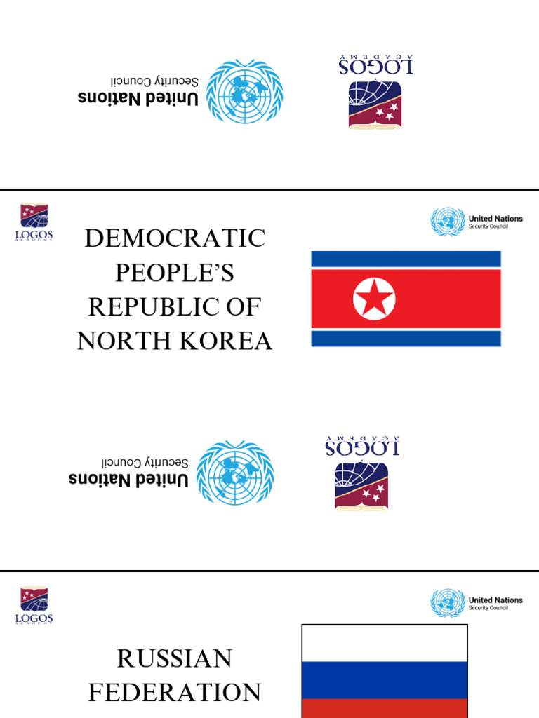 United Nations Security Council (UNSC) | PDF