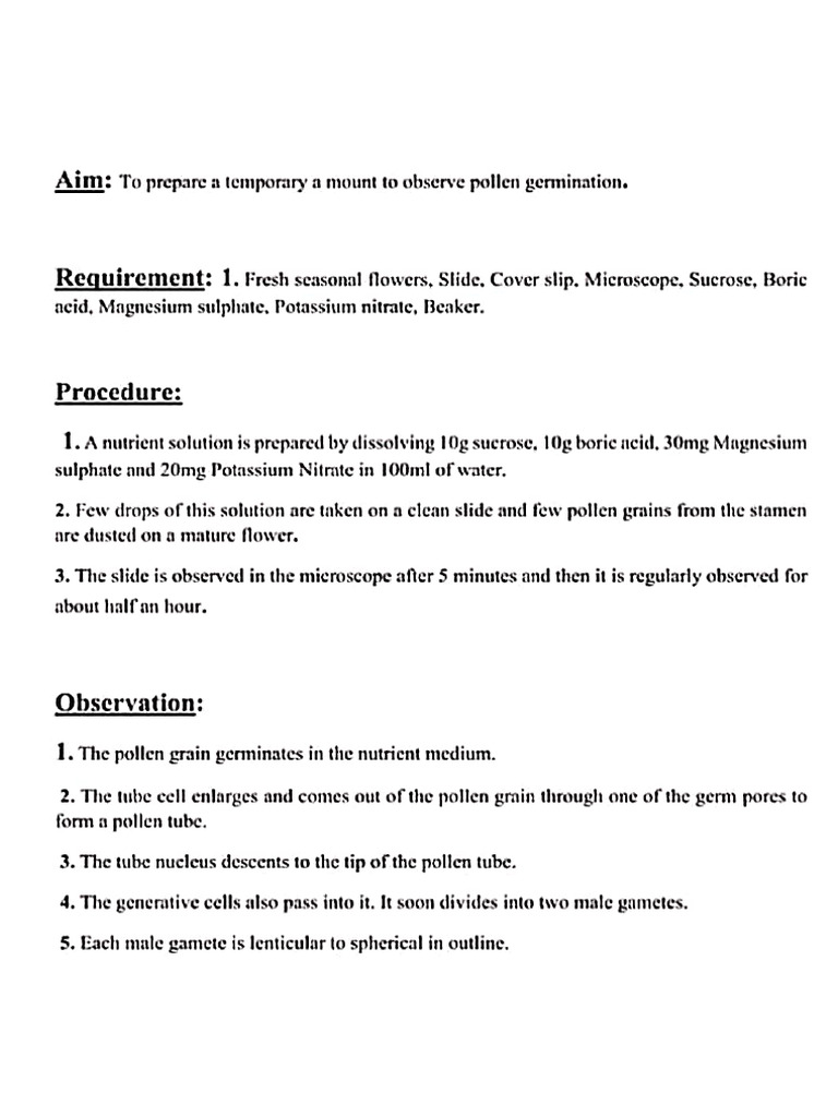 Practical 1 | PDF