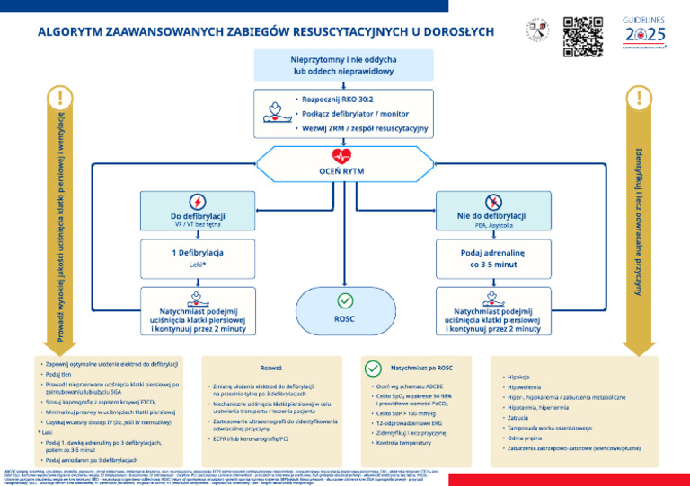 ALS Algorytmy1 | PDF