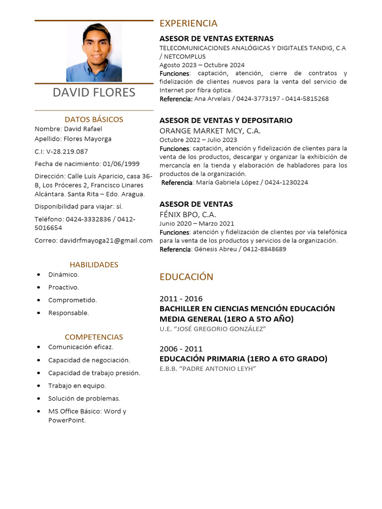 CV David Flores Mayorga | PDF | Tecnología de información y ...