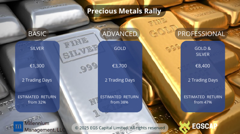 Precious Metals Rally | PDF