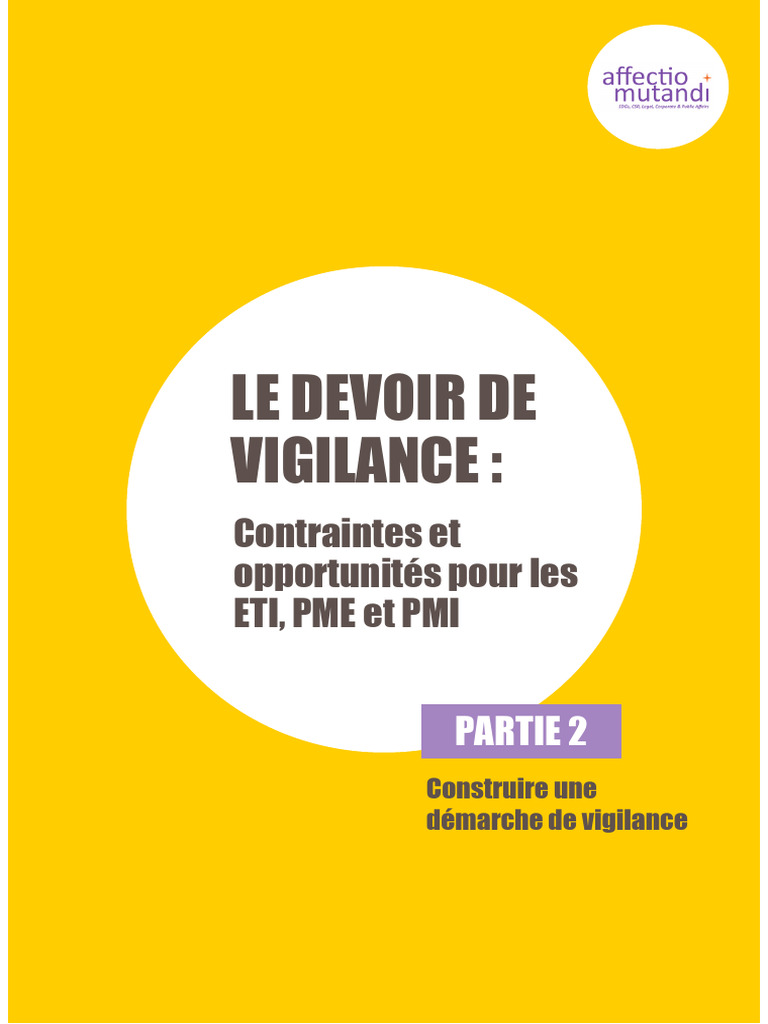 Guide Devoir de Vigilance Partie 2 - Construire Sa Démarche DV | PDF ...