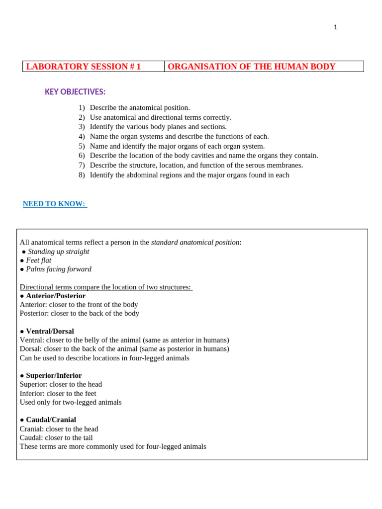 Lab 1 Organisation of The Human BodyEDITED | PDF | Anatomical Terms Of ...