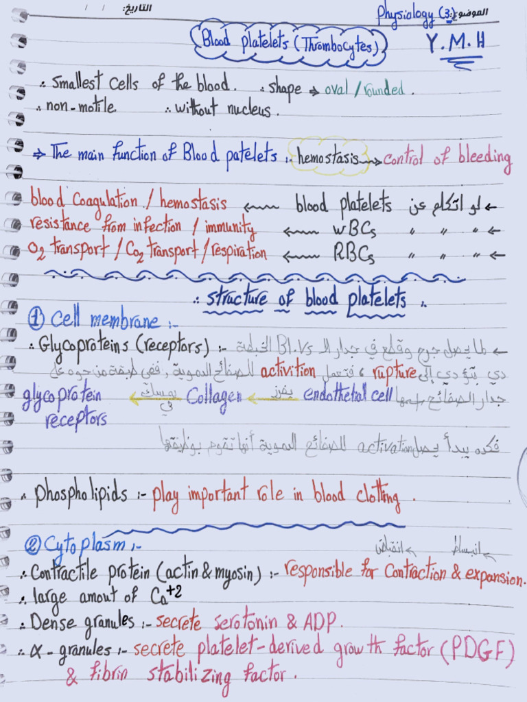 Physiology 3 | PDF