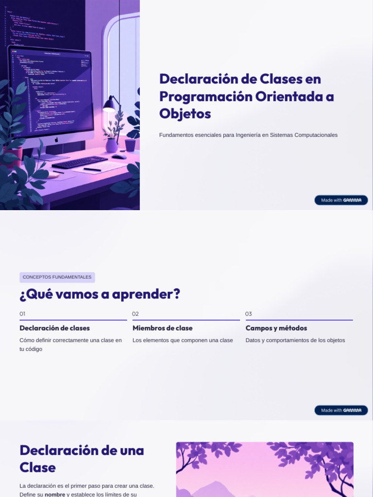 Declaracion de Clases en Programacion Orientada a Objetos | PDF ...