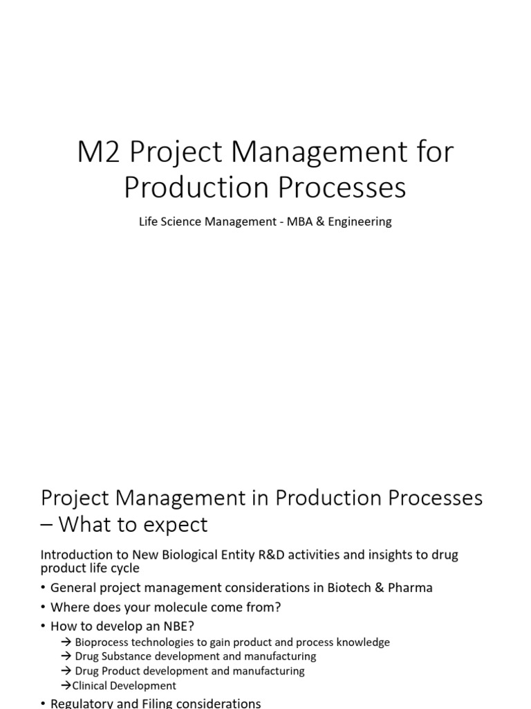 M2 Project Management For Production Processes - WS25 | PDF ...