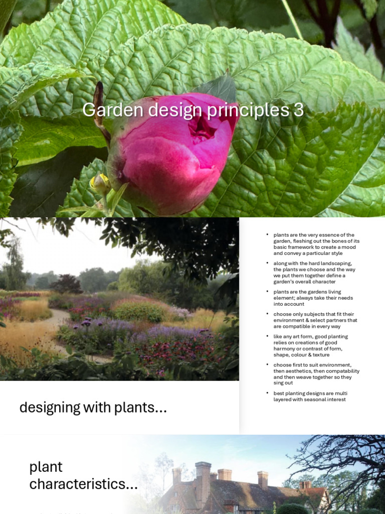 Garden Design Principles 3 4 - 14825 | PDF | Plants | Botany