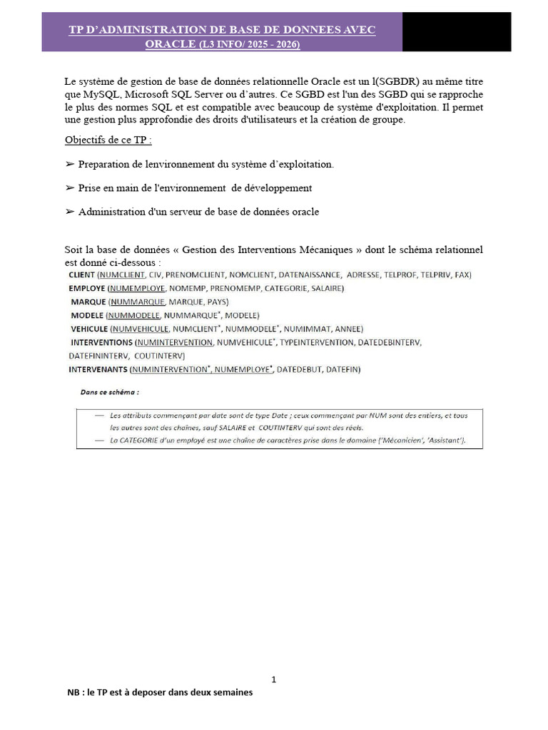 TP - BD Oracle 25-26 | PDF