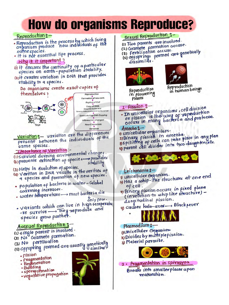 6977aef27873a0ed2bb13247_##_How Do Organisms Reproduce Handwritten ...