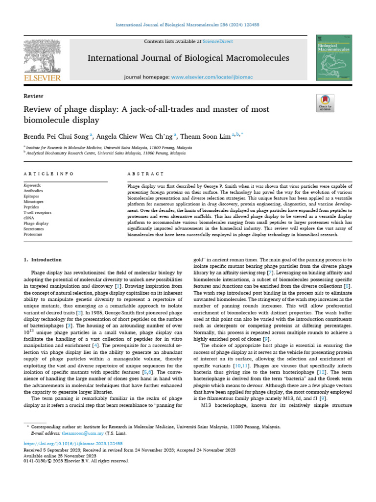 2024 Phage Display | PDF | Antibody | Bacteriophage