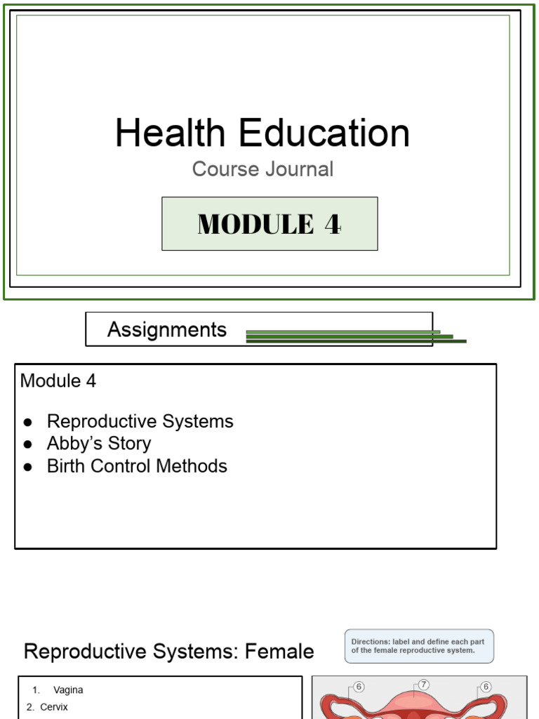 Module 4 - Health Journal | PDF | Sexually Transmitted Infection ...