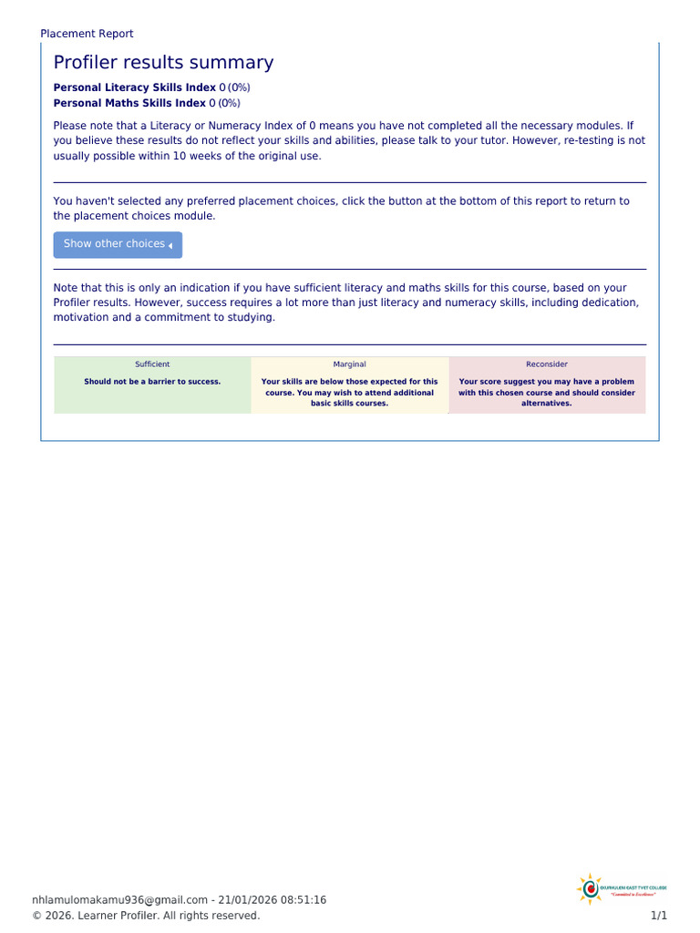 Placement Report | PDF