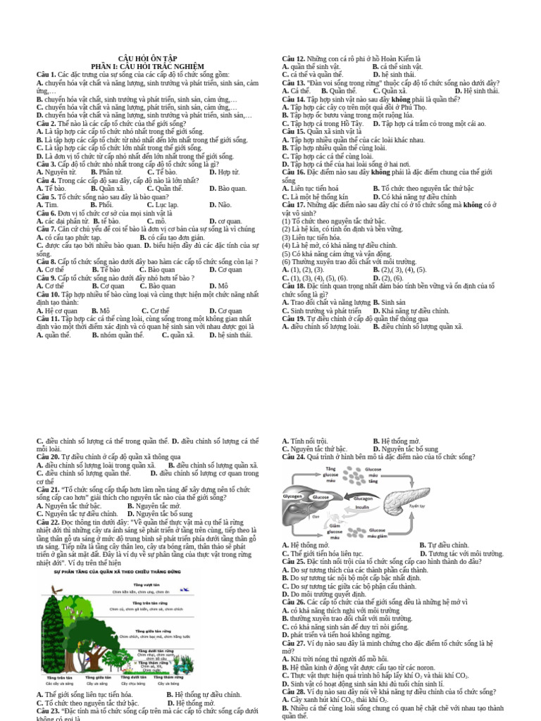 Bài 1 - Sinh | PDF