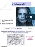 Matriz Extracelular111