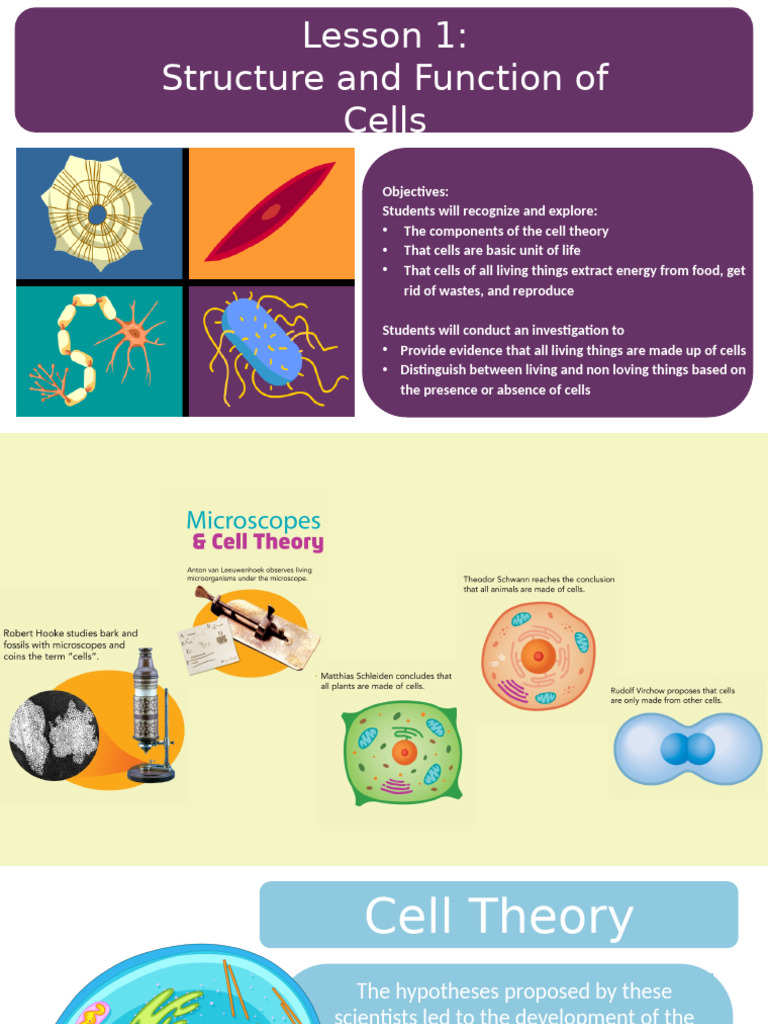 Science Lesson 1g7 | PDF | Microscope | Microscopy