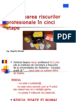 Evaluare Riscuri Profesionale În Cinci Etape