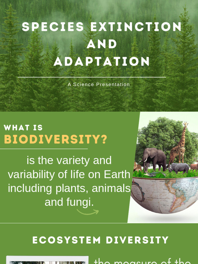 Species Extinction and Adaptation | PDF