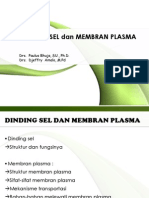 Bab 4 Dinding Sel Dan Membran Plasma 2008