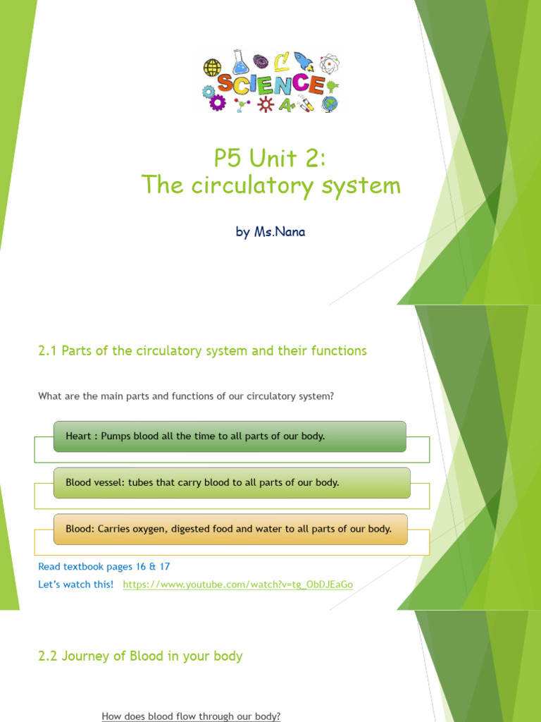 Science Circulatory System | PDF | Heart | Circulatory System