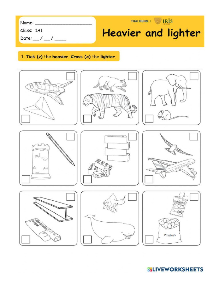 Math 11 - 1 | PDF