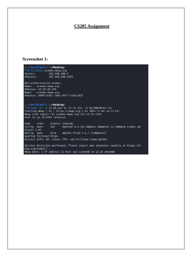 CS205 Assignment | PDF