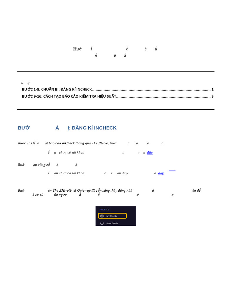 2023 Guideline For The Performance InCheck Report VN | PDF