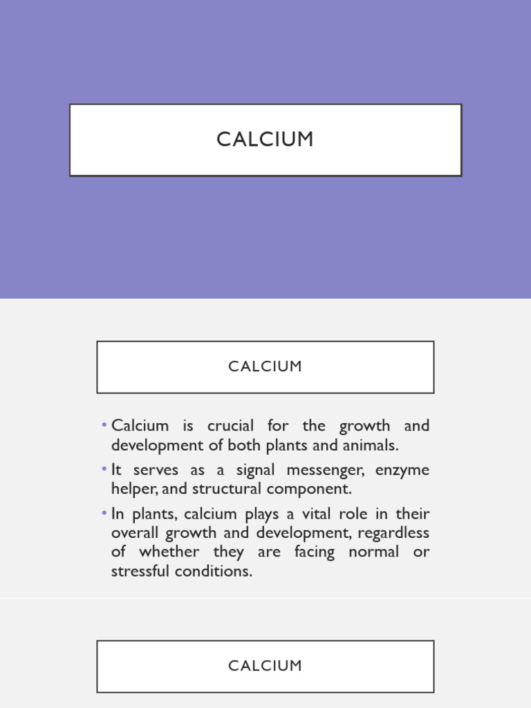 Calcium | PDF