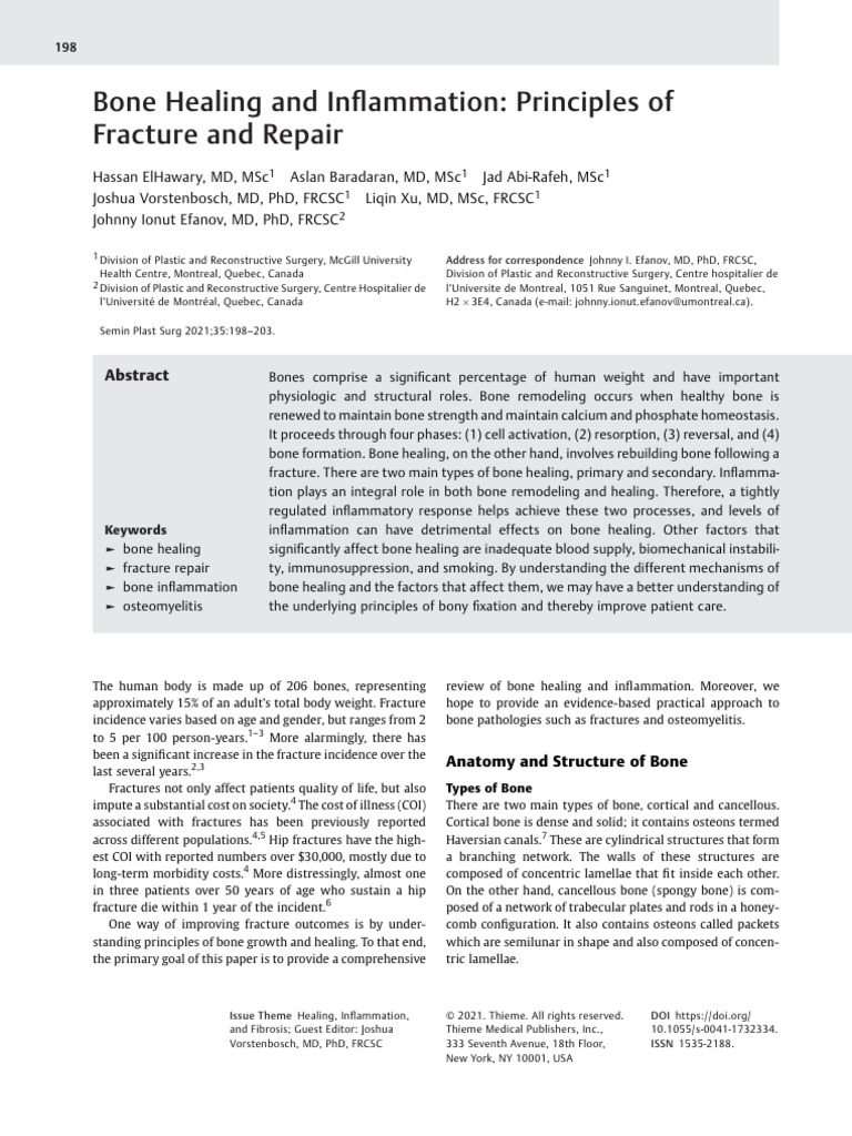 Bone Healing and Inflammation- Principles of Fracture and Rep | PDF ...