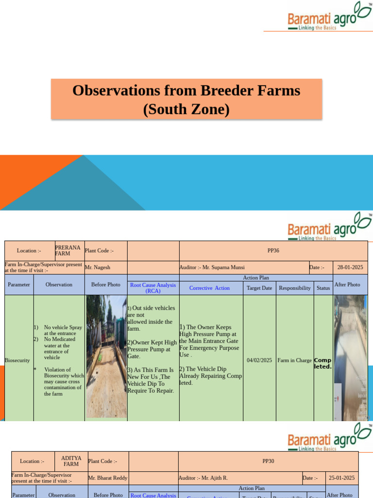 Observations Report of South Breeder Farms (1) | PDF