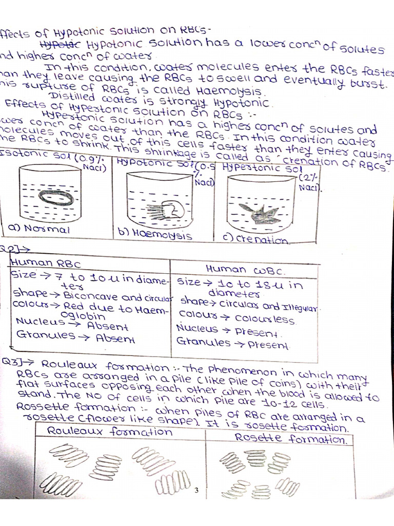 Physiology Journal | PDF