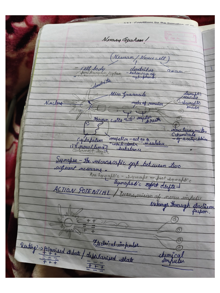 Biology Hand Written Note | PDF