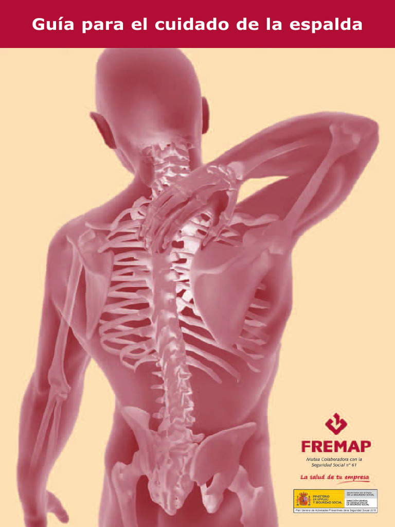 Guía Higiene de Columna y Ejercicios. | PDF | Obesidad | Estrés (biología)