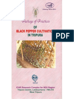 Black Pepper