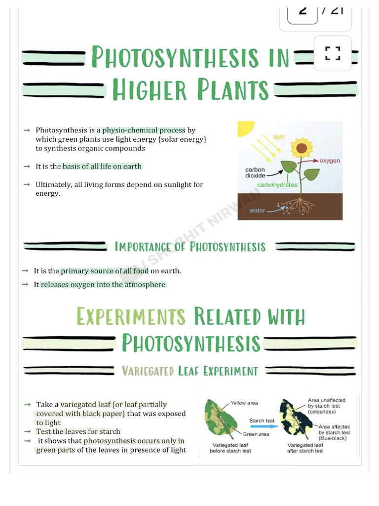 Photosynthesis in Higher Plants Short Notes | PDF