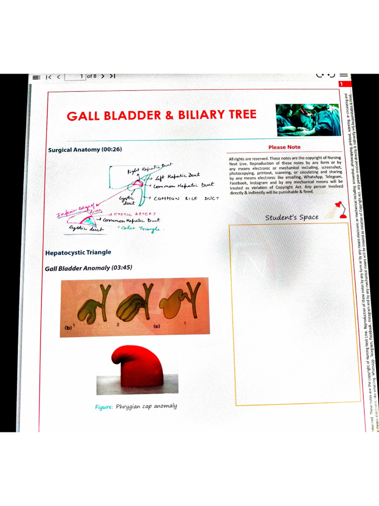 Gall Bladder and Biliary Tree | PDF