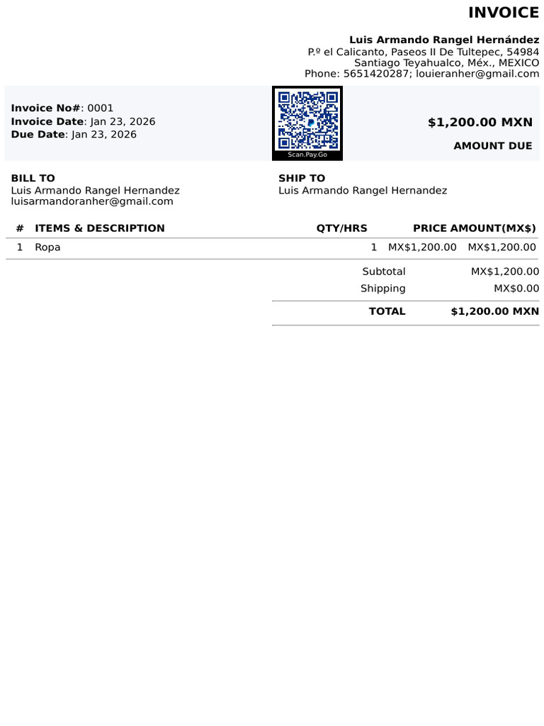 Invoice - 0001 | PDF