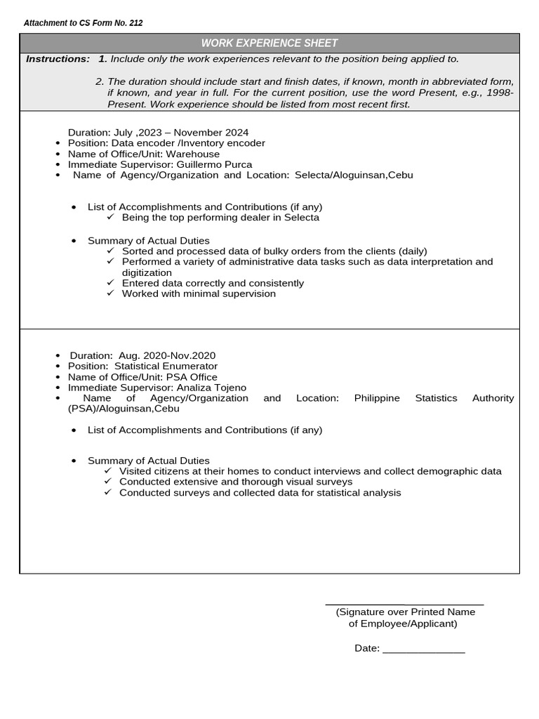 Work Experience Sheet (For All Nonteaching) | PDF | Data | Computing