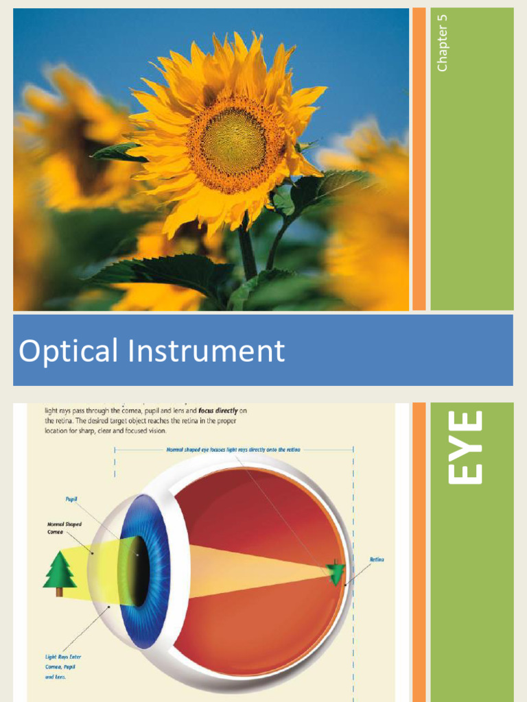 Optical Instrument+ Eye | PDF | Eye | Electromagnetic Radiation