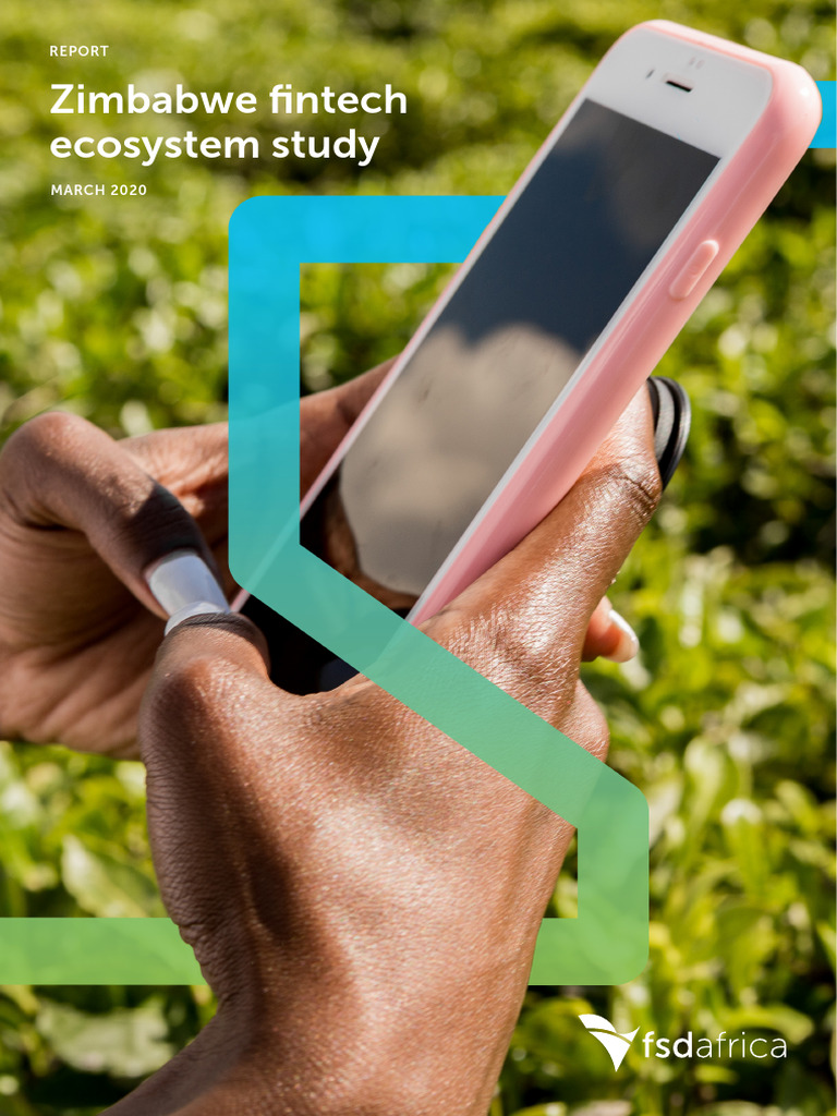 Zim Fintech Report 25.03.20 FINAL | PDF | Financial Technology ...