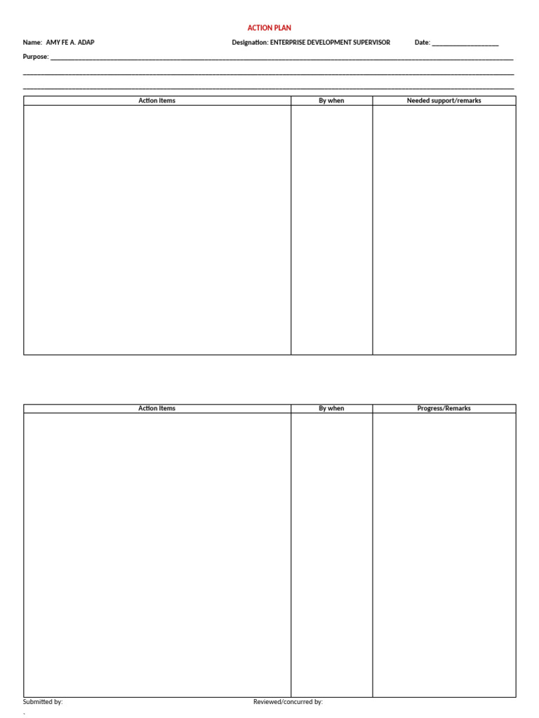LDP Action Plan - Template | PDF