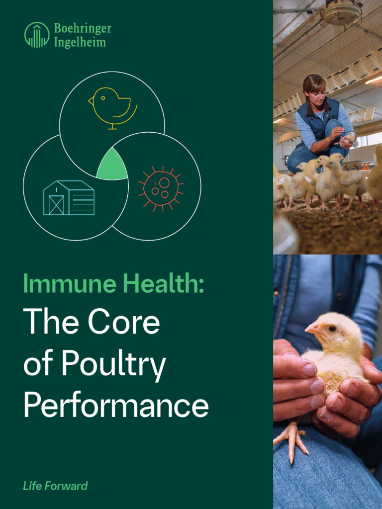 Core of Poultry Performance | PDF | Immune System | Adaptive Immune System