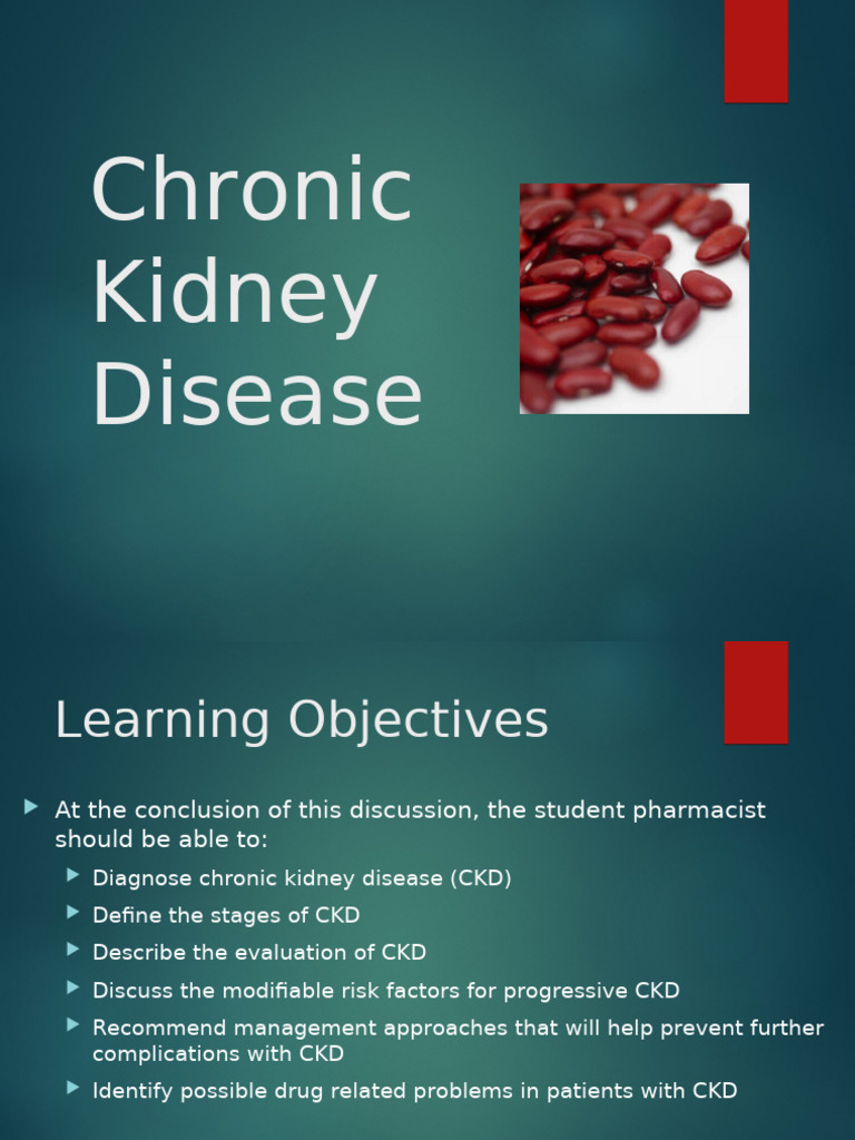 4 Chronic Kidney Disease CKD | PDF | Chronic Kidney Disease | Urinary ...
