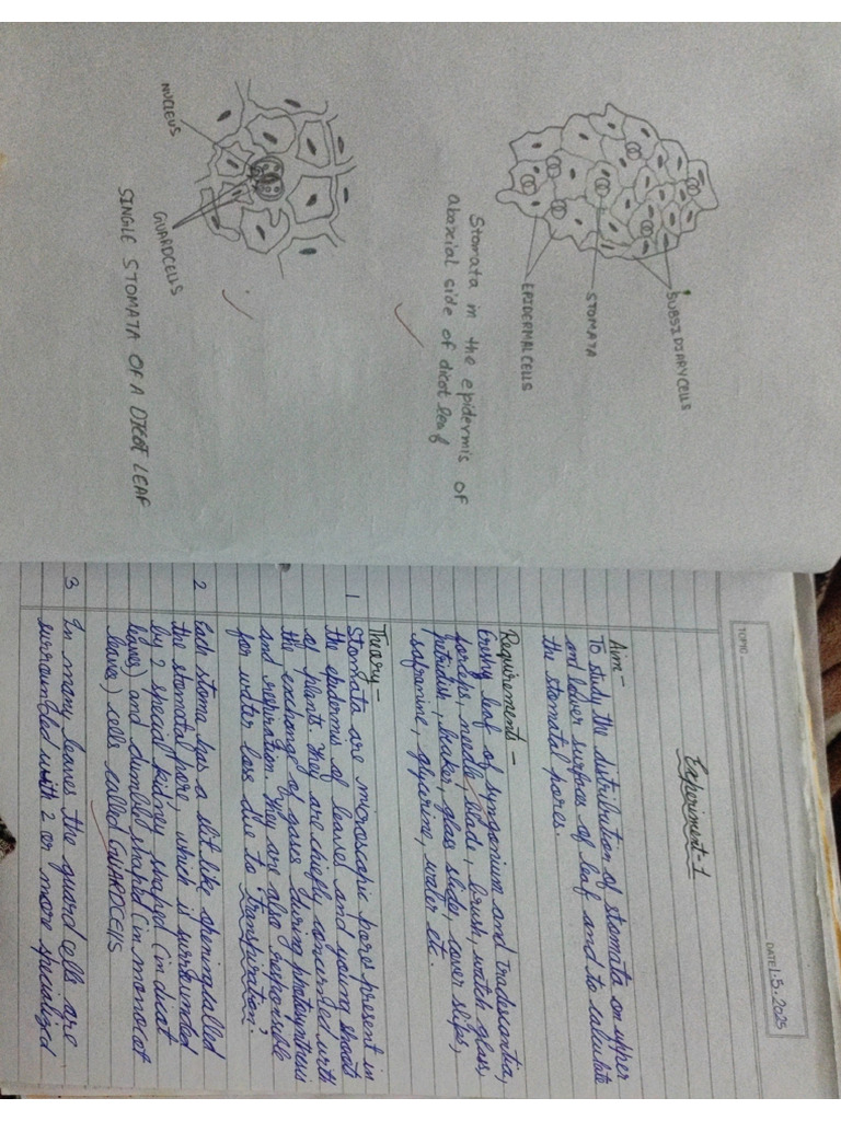 Bio Practical File | PDF