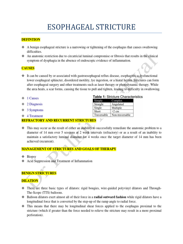 Esophageal Stricture | PDF | Esophagus | Stent