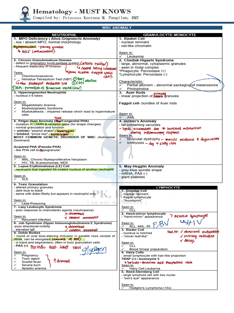 AML CML Lymphoma Annotated | PDF | White Blood Cell | Leukemia