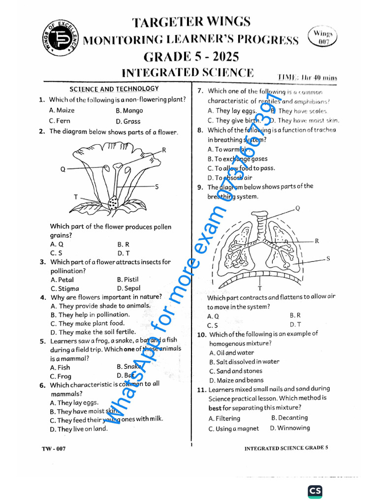 Grade 5 Tws 007 Inter-Science | PDF
